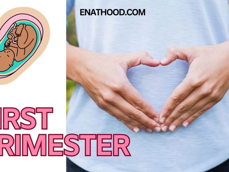 Journey through the First Trimester of Mother and Baby