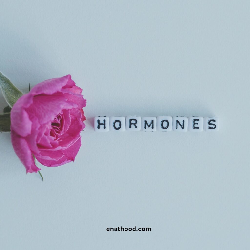 Hormonal balance key for women’s health. 