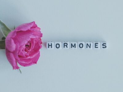 Hormonal balance key for women’s health.